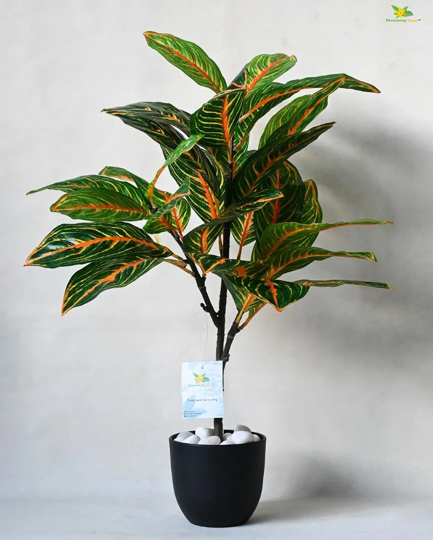 Aglaonema Ornamental Artificial Plant with Pot | 43 Leaves | 2 feet